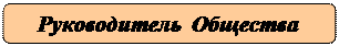 Скругленный прямоугольник: Руководитель Общества