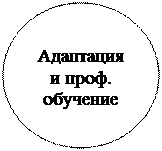 Овал: Адаптация и проф. обучение
